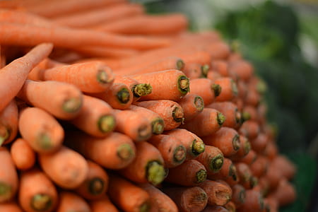 pile of carrot vegetables