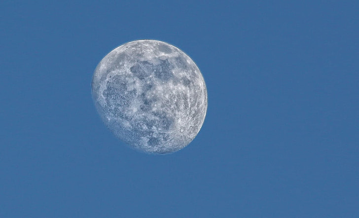 selective focus photo of gray moon