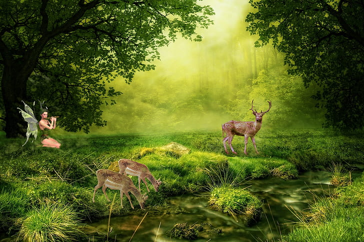 fairy playing float near lake with deer digital wallpaper