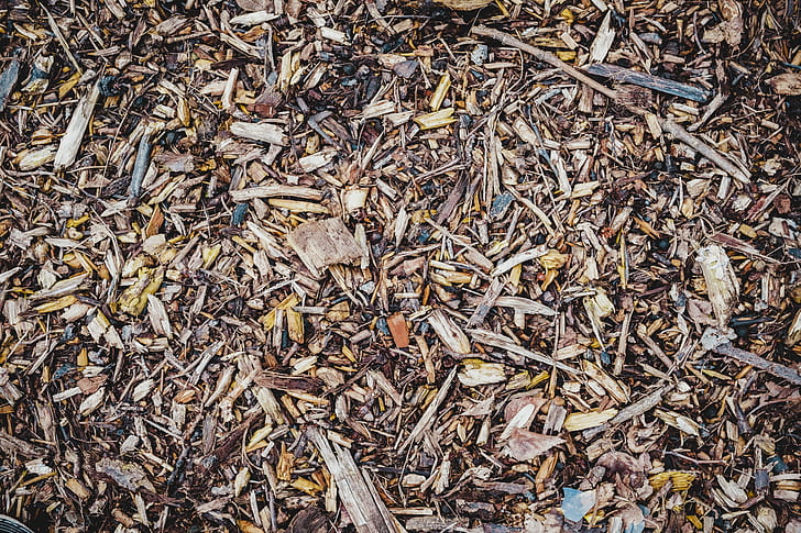 high angle photo of dry leaves