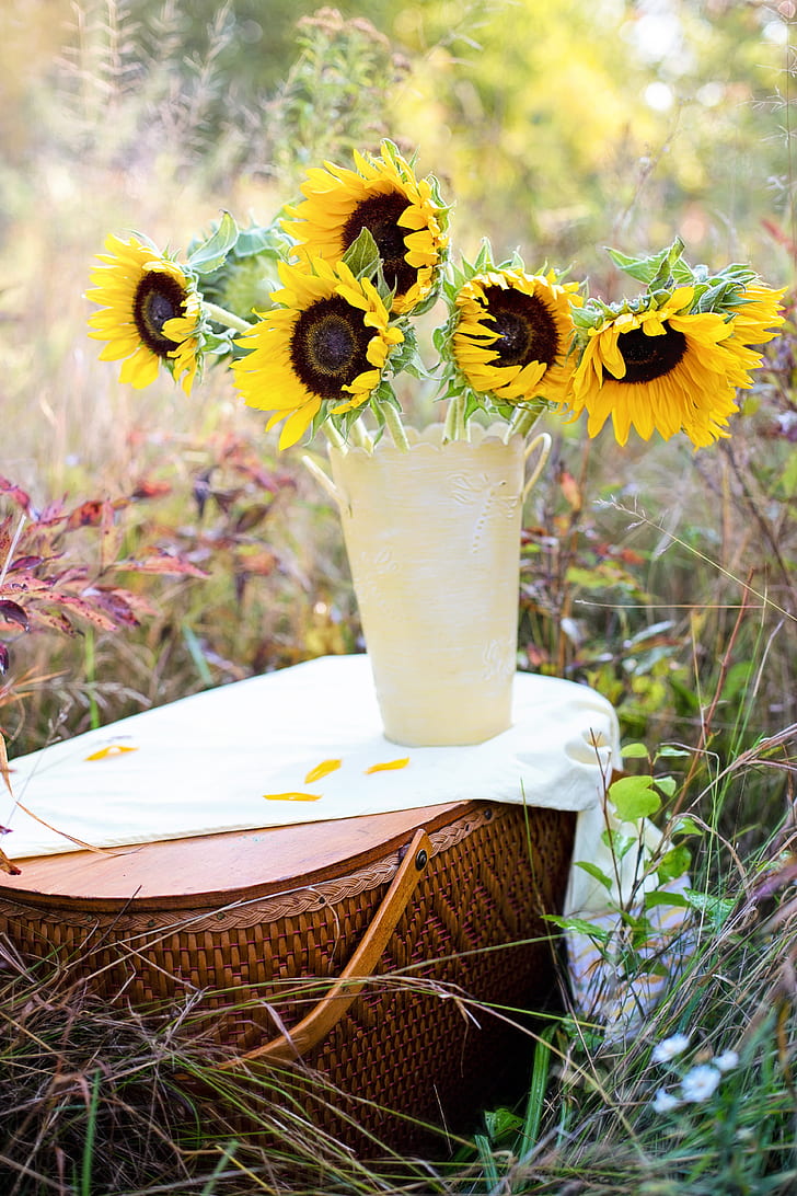 yellow sunflowers in yellow vase on brown wicker picnic basket