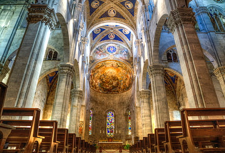 brown and gray cathedral interior