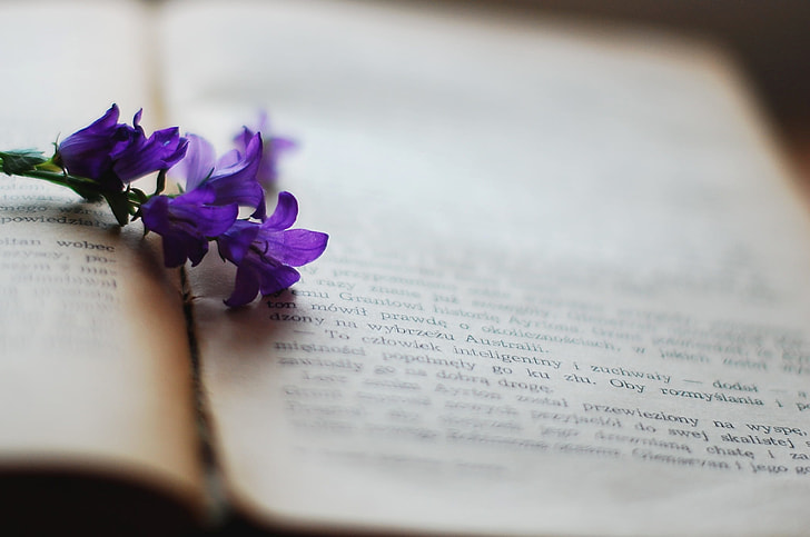 purple flowers on book