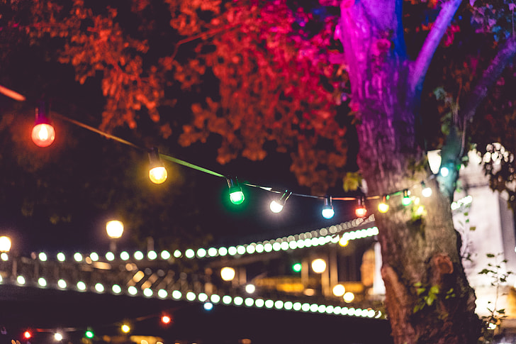 Colorful Lights on Night Garden Party