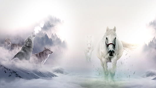 white horses and wolves on a clouds painting
