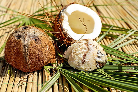 Coconut shell with leaves