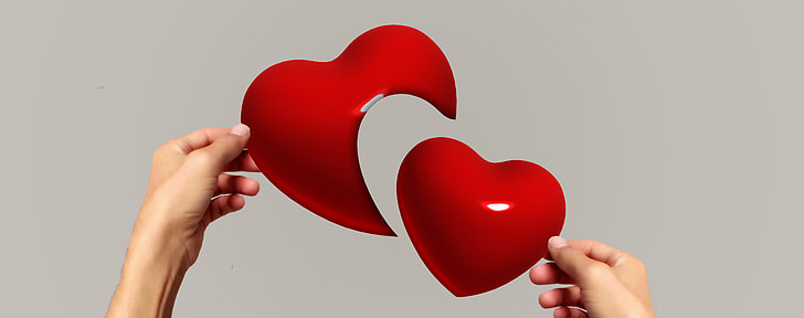person holding red hearts