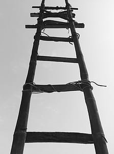 Black Bamboo Ladder during Daytime
