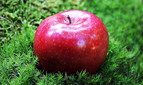 red apple on grass field