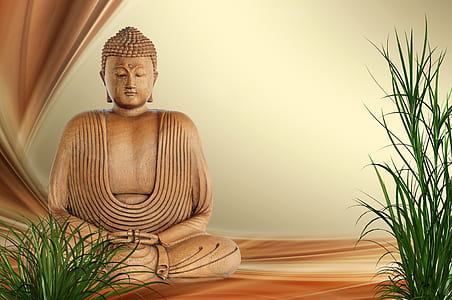 Buddha statue near green leafed plants