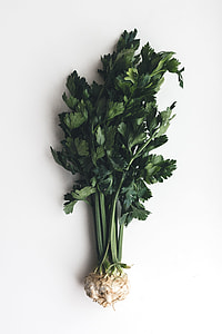Wonderful healthy celery