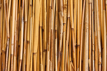 brown bamboo stick lot