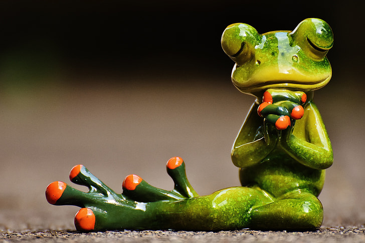 red-eyed tree frog figurine