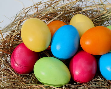 assorted-color ester eggs