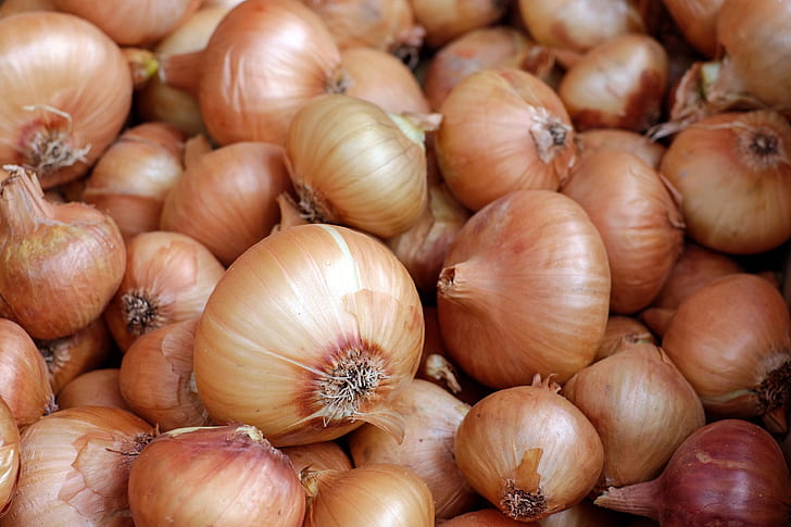 close up photo of brown onions