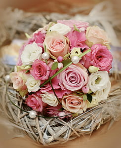 selective focus photography of white and pink rose bouquet on twig