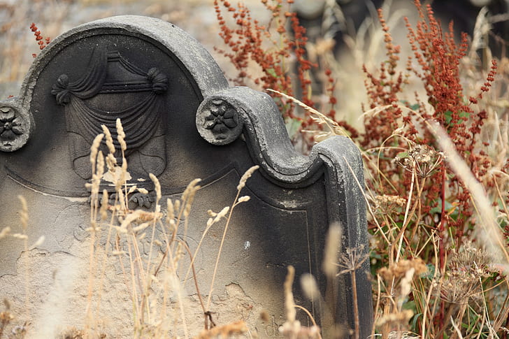gray and black tombstone