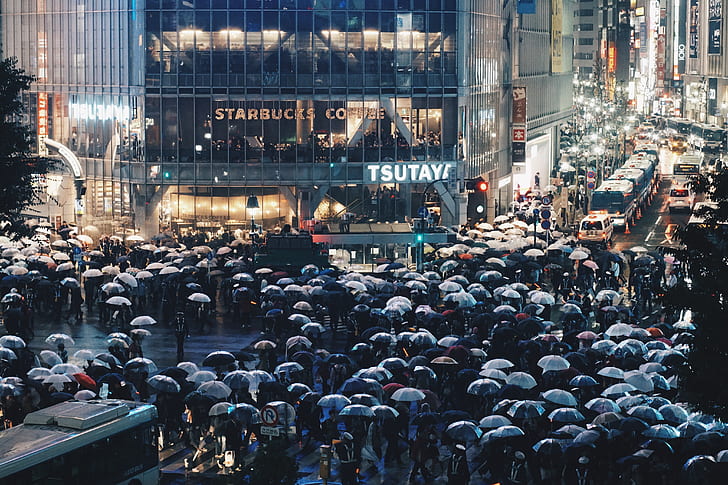 people holding umbrellas in front of Starbucks Coffee building