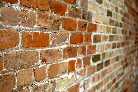 brown brick wall in selective focus photography