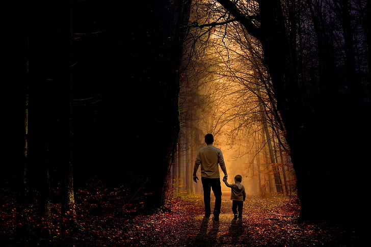 man and toddler walking on dried forest during dawn