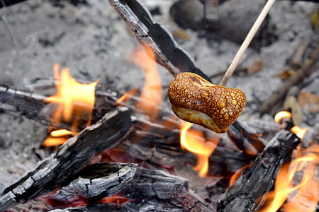 marshmallow melting on stick above burning firewood