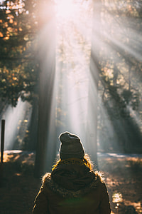shallow focus photography of woman in brown parka jacket on forest during daytime