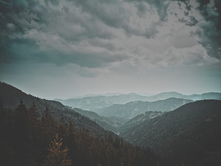 mountains and trees landscape photo