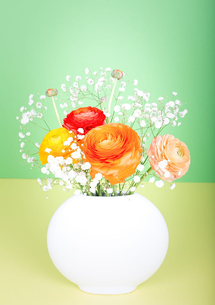 orange, yellow, and red ranunculus flowers in white vase