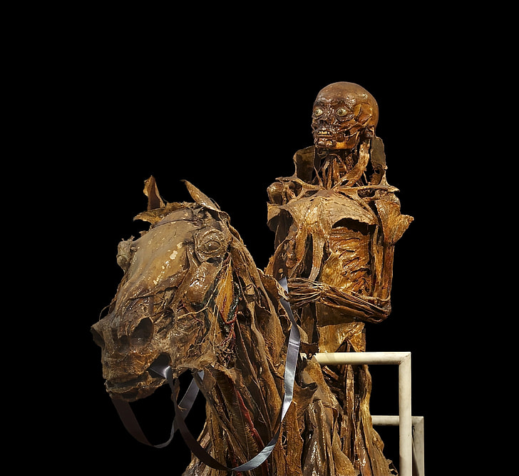 skeleton riding skeleton horse statue