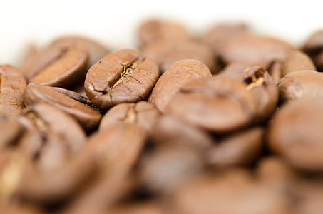 Closeup Photography of Coffee Beans