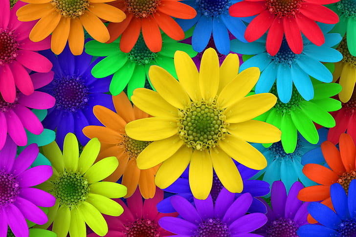 red, blue, green, yellow, and orange flowers illustration