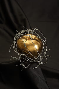 gold-colored apple decor wrapped with barbwire on top of black surface
