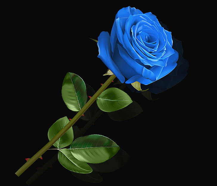 blue petaled rose flower