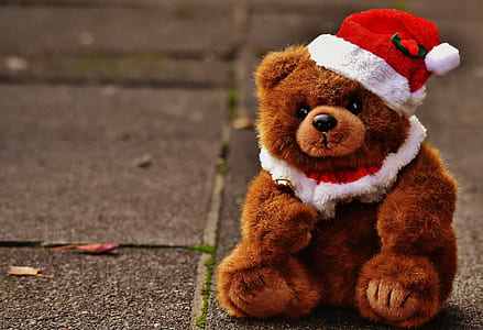 brown bear plush toy with Santa Clause beanie