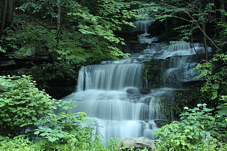 waterfalls near green trees at daytime