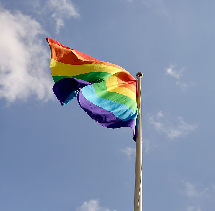 shallow focus photography of LGBT flag on white steel pole