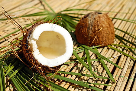 slice coconut shell