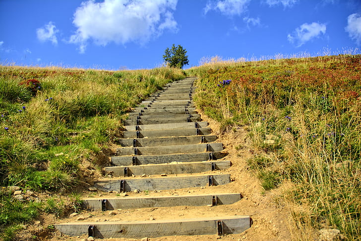 gray cement stair surrounded by grass under blue and white cloudy sky