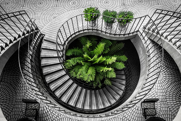 green leaf plant beside stair