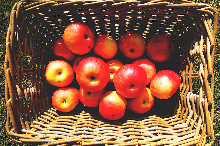 Overhead shot of basket of apples