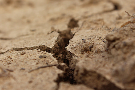macro photography of cracked soil