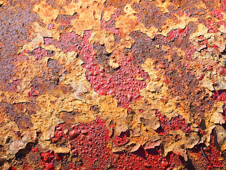 weathered leaves on red ground