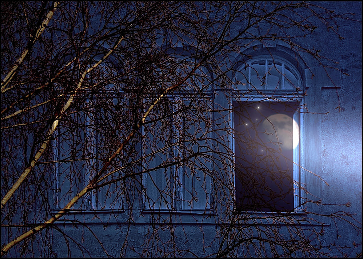 open window at night wallpaper