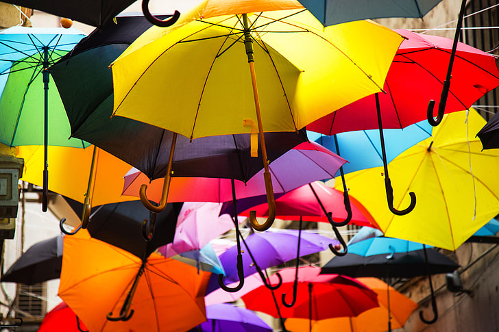 assorted-color umbrella display
