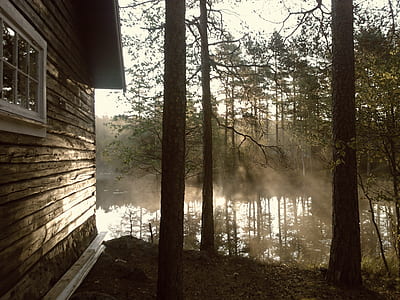 photo of body of water covered with mists