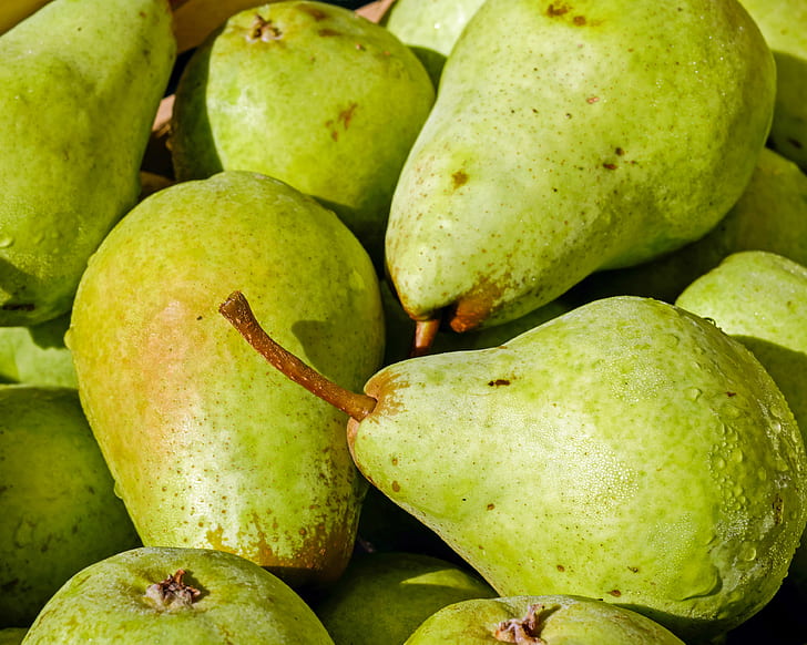bunch of green guava fruits
