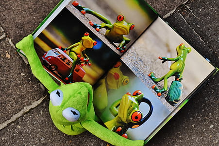 Kermit the frog plush toy with book