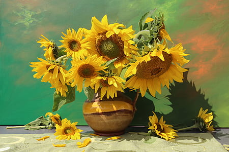 yellow sunflower plant in brown pot