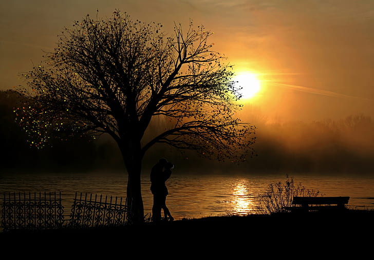 couple silhouette under a tree
