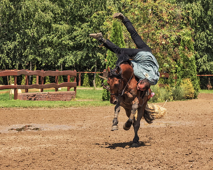 man riding horse photograph